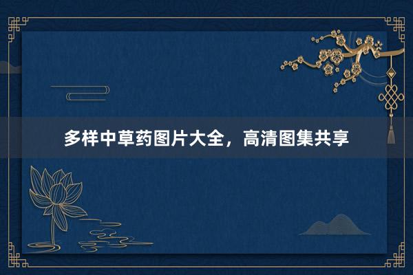 多样中草药图片大全,高清图集共享